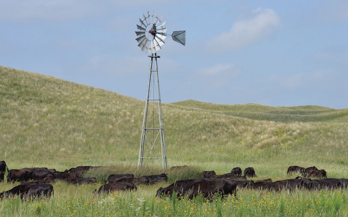 Engaging Agriculture