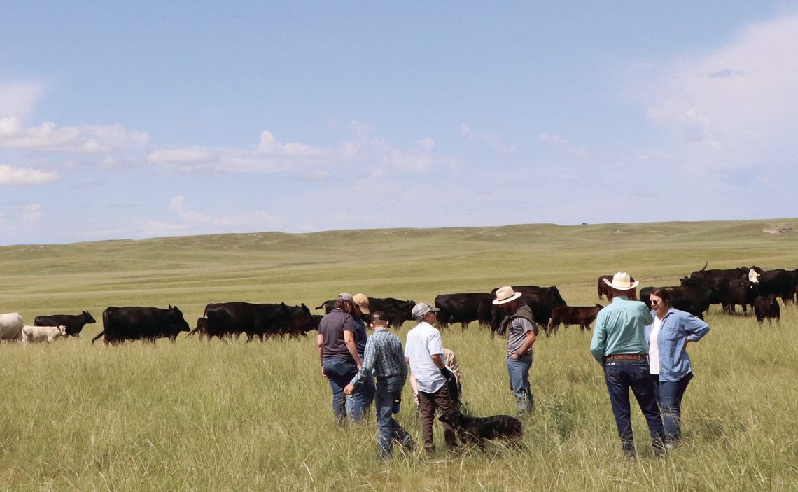 Engaging Agriculture