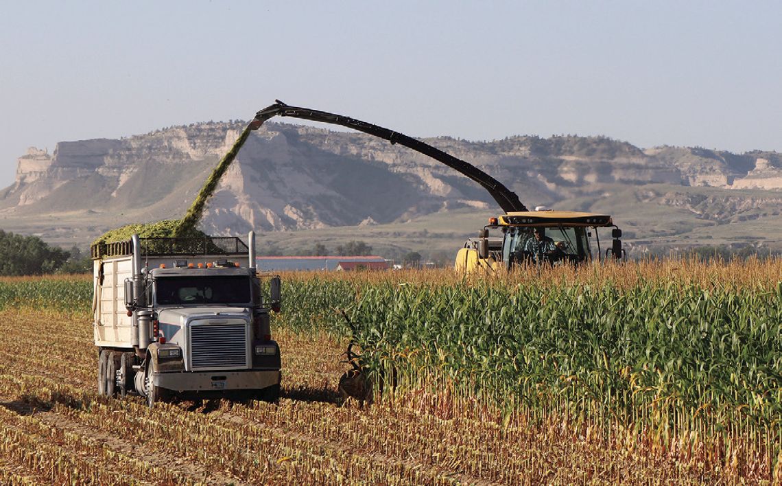 Engaging Agriculture
