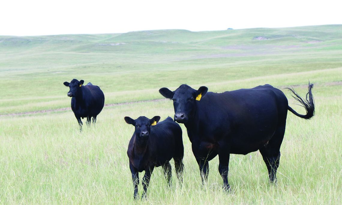 Engaging Agriculture