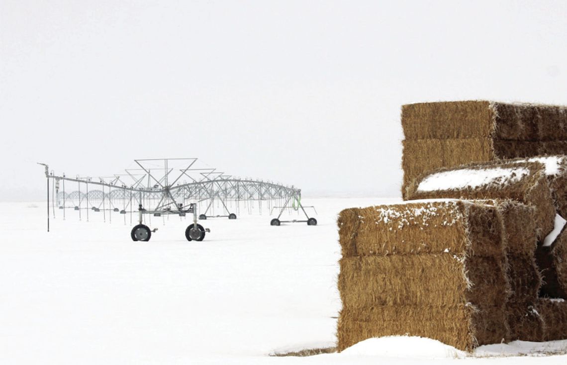 Engaging Agriculture Engaging Agriculture