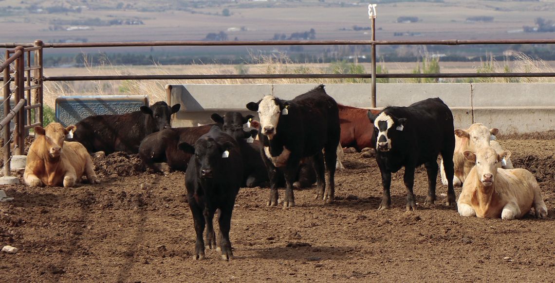 Engaging Agriculture