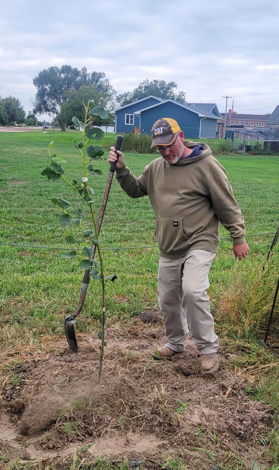 Fall ReTree Planting program brings more trees to Bridgeport