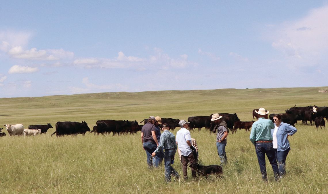 Free farm and ranch succession workshops offered in the Panhandle Free farm and ranch succession workshops offered in the Panhandle