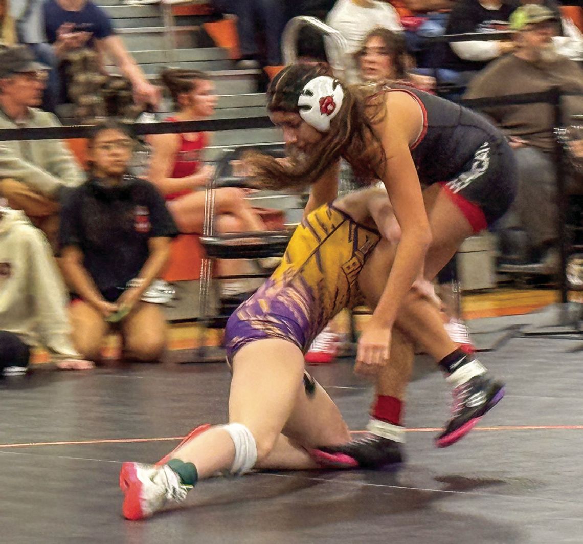 Jeffords, Menke win wrestling titles in Mitchell