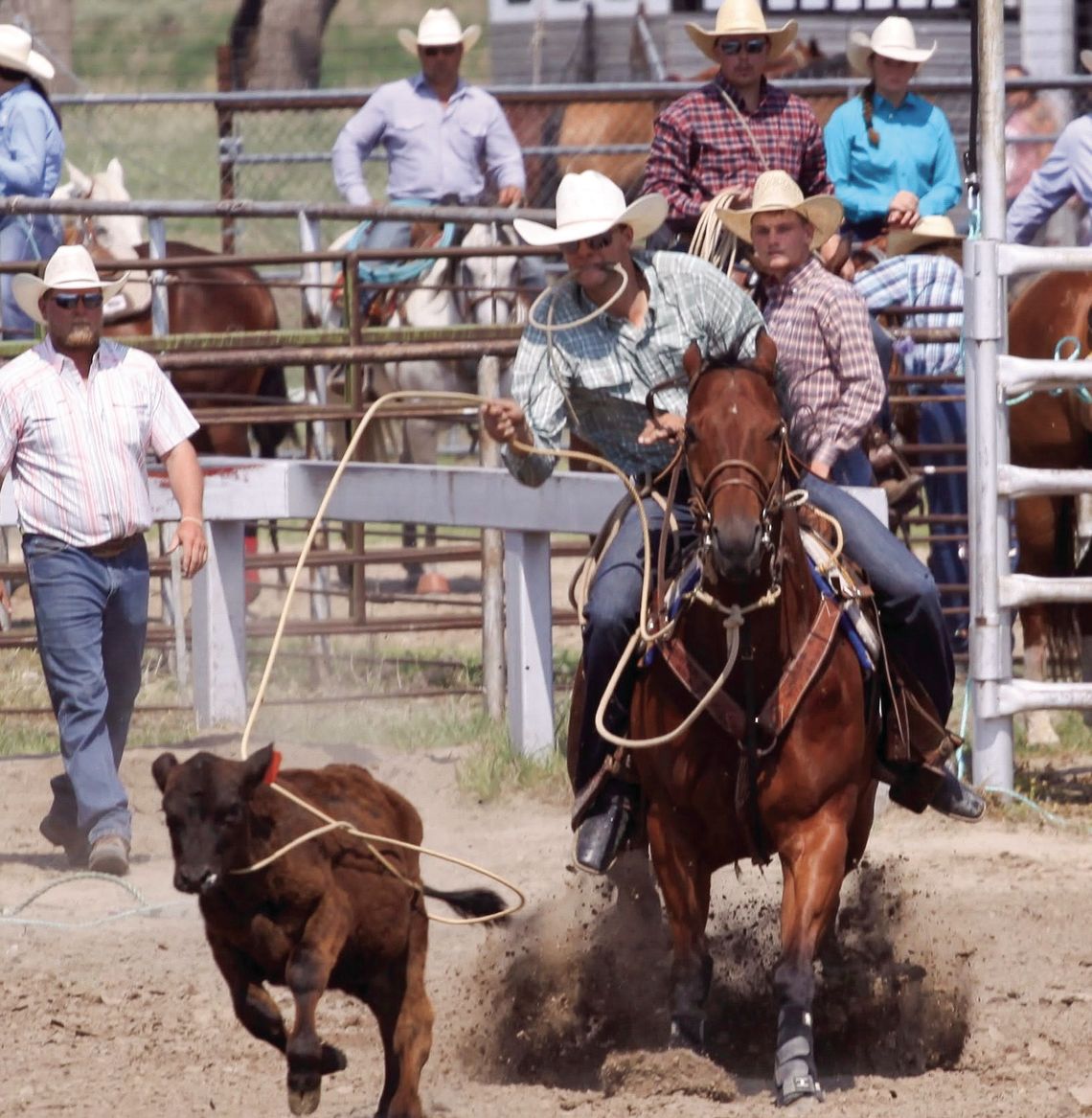 Johnston, Daly take home allaround titles from Camp Clarke Stampede Rodeo Johnston, Daly take home allaround titles from Camp Clarke Stampede Rodeo