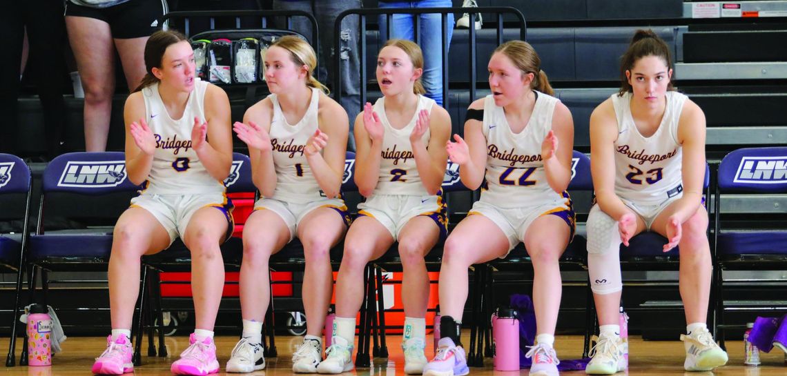 Lady Bulldogs enjoyed history-making, record-setting season on hardwood