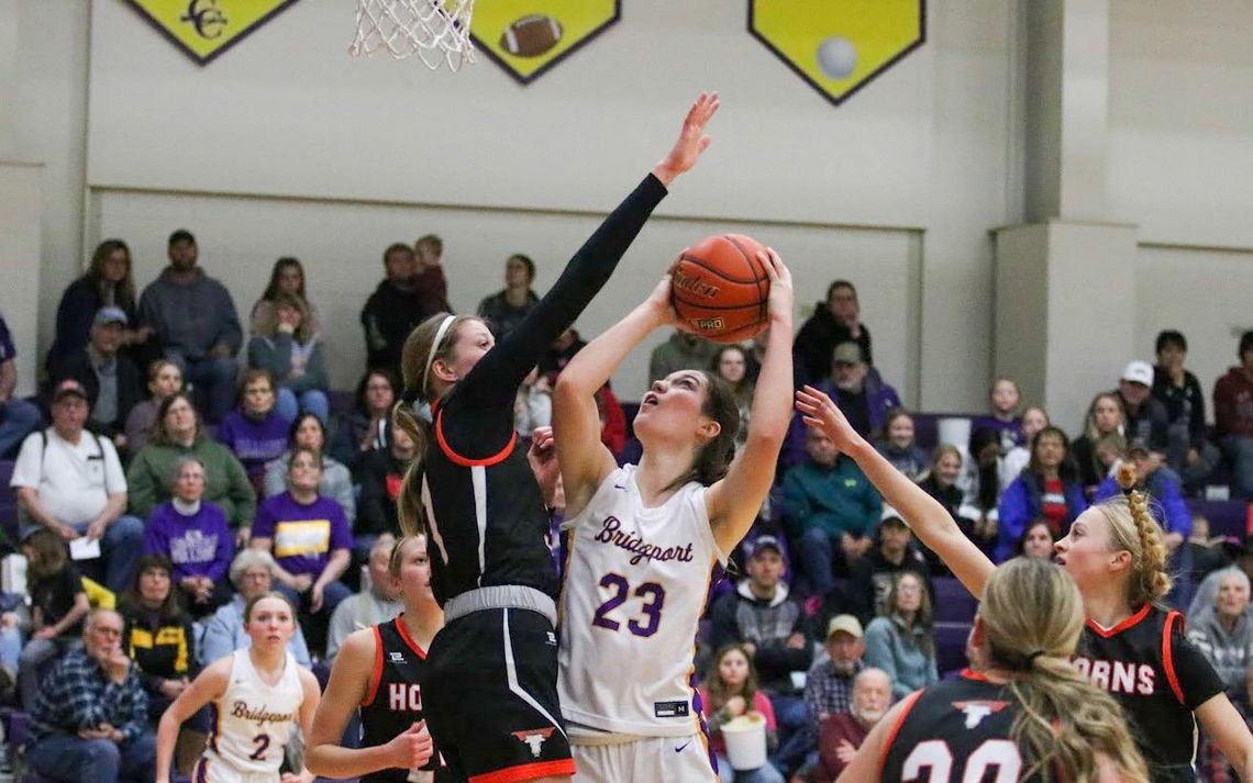 Lady Bulldogs win another sub-district title