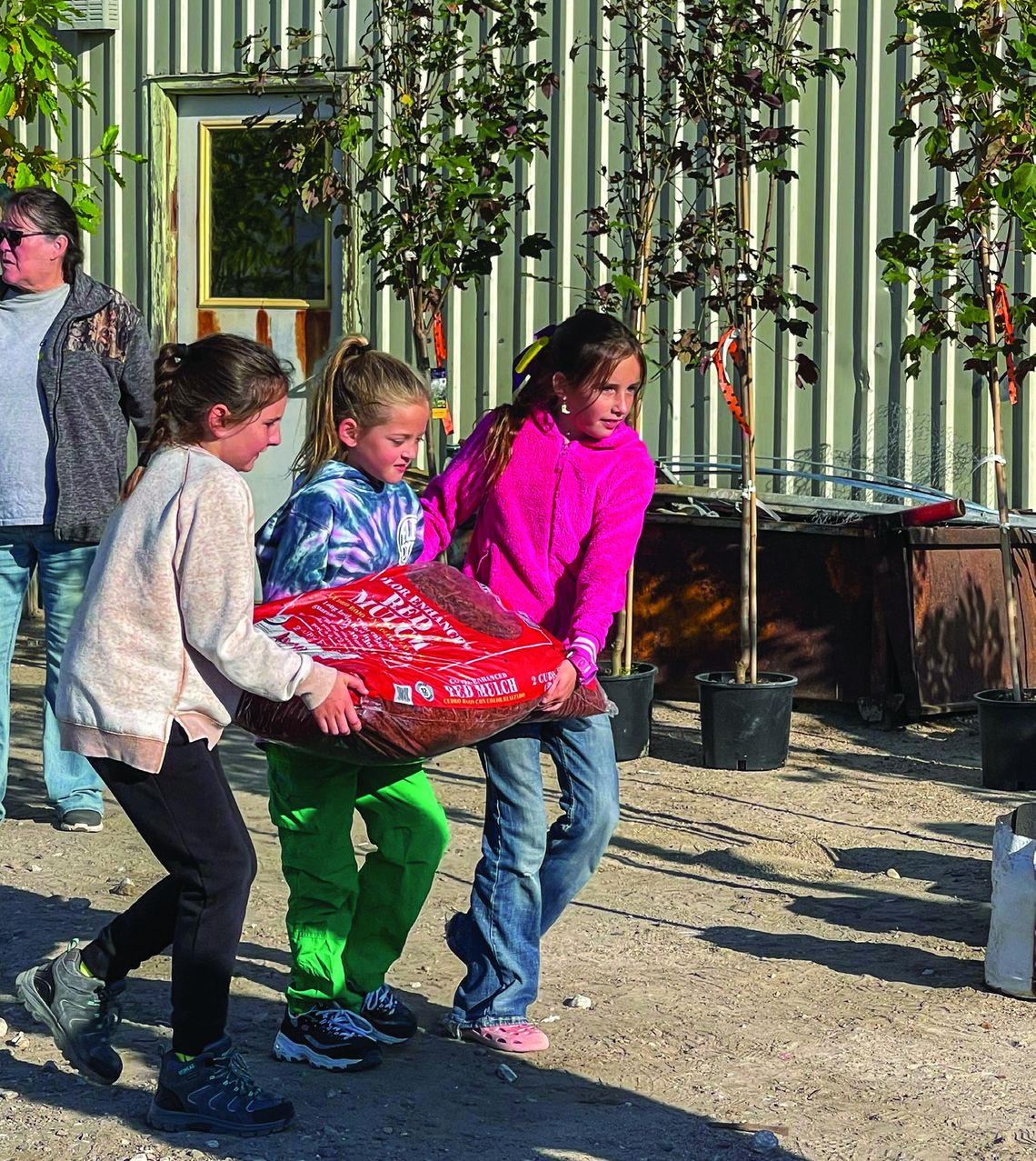 ReTree Bridgeport celebrates Arbor Day with free tree giveaway