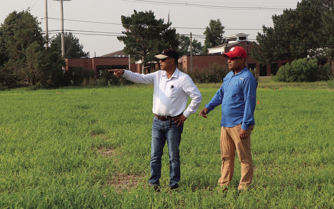 Supplementing dryland wheat and irrigated corn with proso millet in drought years