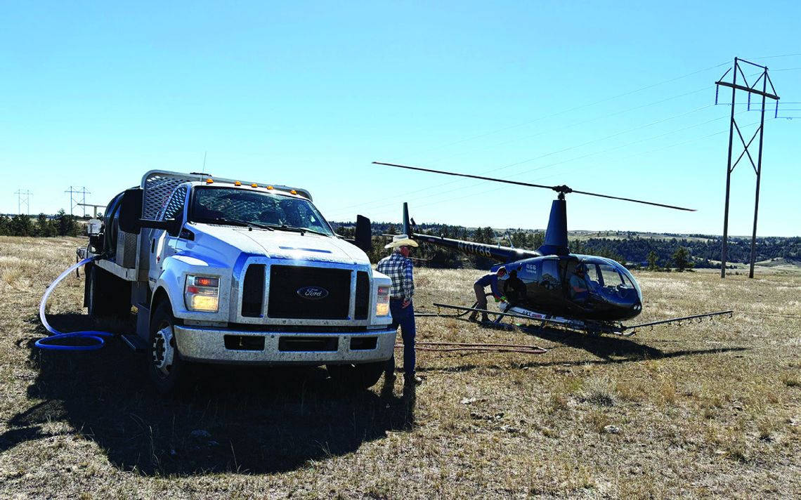 Wildcat Hills wildlife and livestock to benefit from cheatgrass grant